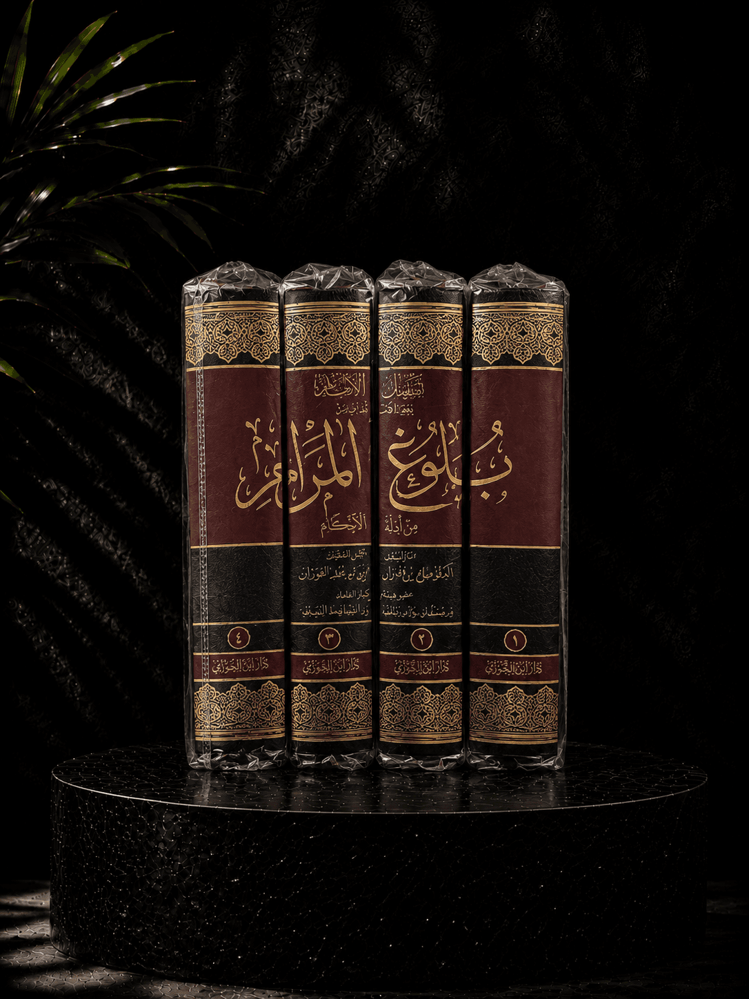 شرح بلوغ المرام من أدلة الأحكام preview 2